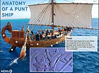 anatomy of a Punt ship