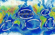 Lies You have Been Told About the Pacific Garbage Patch