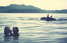 Jim Nollman playing waterphone off western Canada with orcas (1979)