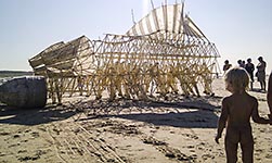 Theo Jansen (kinetic sculptor)