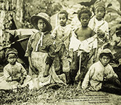 Town children, Saint Helena